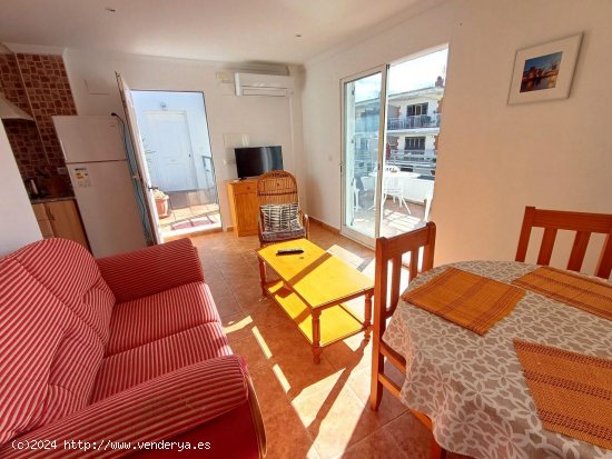 Apartamento en alquiler en Oliva (Valencia)