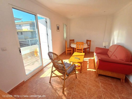 Apartamento en alquiler en Oliva (Valencia)