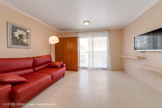 SE VENDE ESTUDIO EN PRIMERA LINEA DE LA PLAYA EN TORREVIEJA (ALICANTE) - ALICANTE