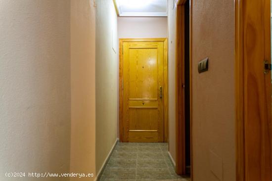  APARTAMENTO EN TORREVIEJA! 1 DORM. 1 BAÑO - ALICANTE 