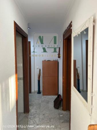 Apartamento amueblado en pleno centro de Caceres - CACERES