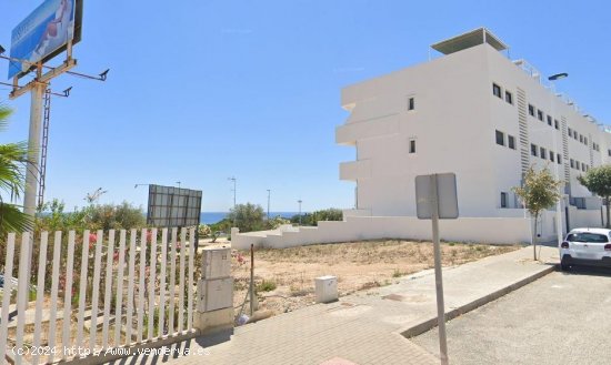 Parcela en venta en Guardamar del Segura (Alicante)