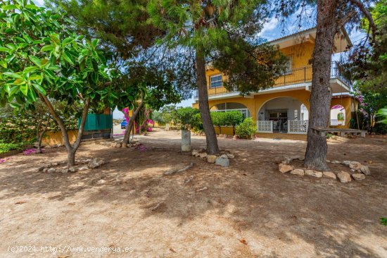 Finca en venta en Los Montesinos (Alicante)