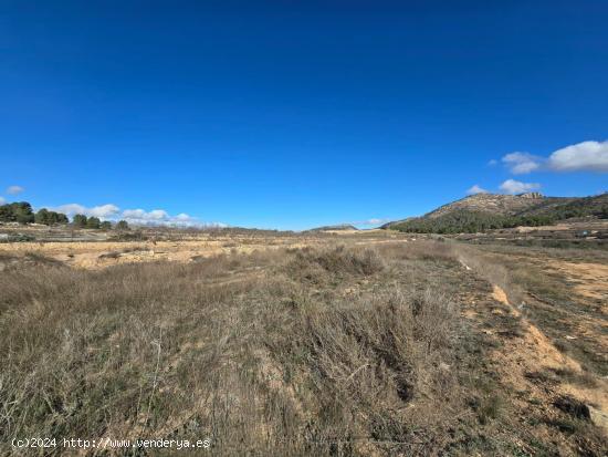  PARCELA EN VENTA EN LA ROMANETA (MONÓVAR) - ALICANTE 