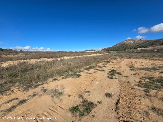 PARCELA EN VENTA EN LA ROMANETA (MONÓVAR) - ALICANTE