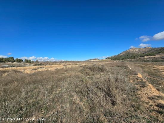 PARCELA EN VENTA EN LA ROMANETA (MONÓVAR) - ALICANTE