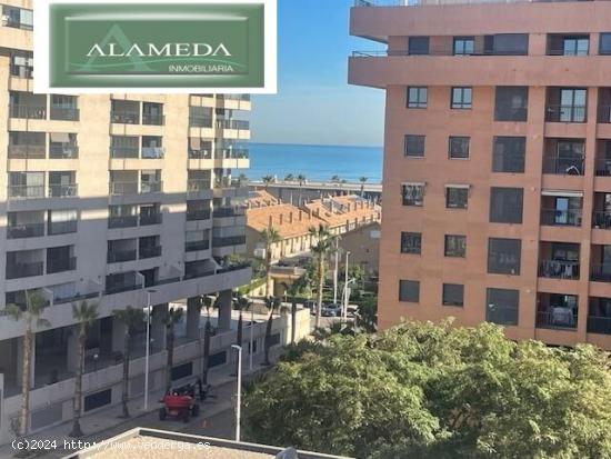  ALQUILER TEMPORAL ZONA PATACONA.CONSULTAR DISPONIBILIDAD - VALENCIA 