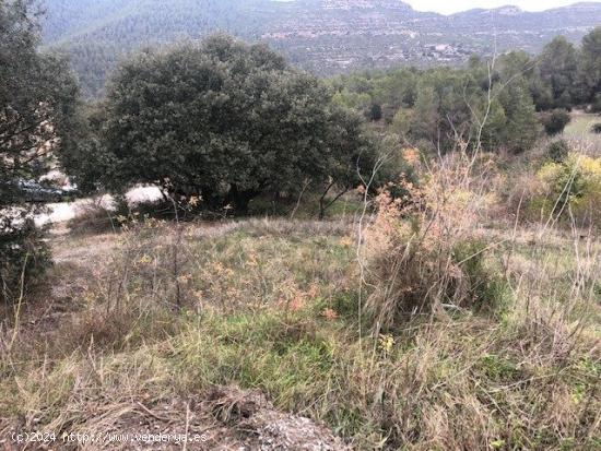 TERRENO EN VENTA EN ROCAFORT - BARCELONA