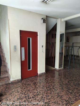 Alquiler o venta de edificio centro - LEON