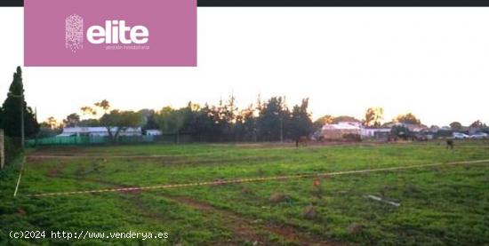  PARCELA URBANA DE USO RESIDENCIAL EN PINO SOLETE - CADIZ 