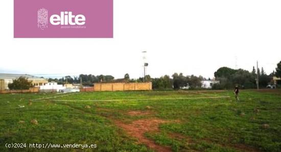 PARCELA URBANA DE USO RESIDENCIAL EN PINO SOLETE - CADIZ