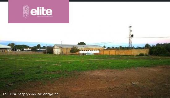 PARCELA URBANA DE USO RESIDENCIAL EN PINO SOLETE - CADIZ