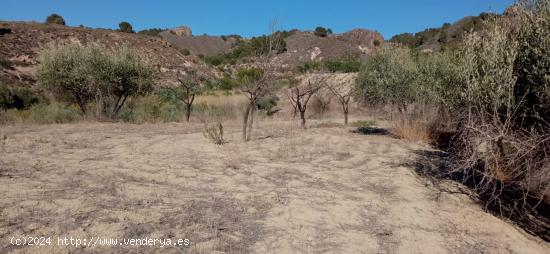 Terreno en  cart  EL PUNTARRON,  Aguaderas. - MURCIA