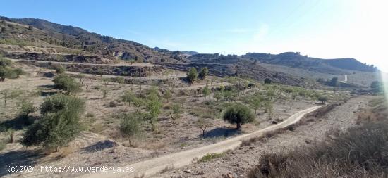 Terreno en  cart  EL PUNTARRON,  Aguaderas. - MURCIA