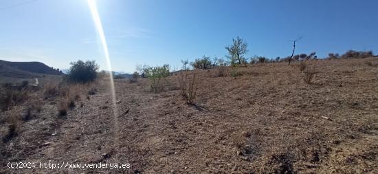 Terreno en  cart  EL PUNTARRON,  Aguaderas. - MURCIA