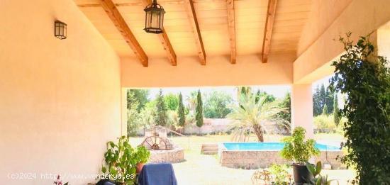 Se vende finca en sencelles con 21.000 metros de terreno y casa principal y de invitados - BALEARES