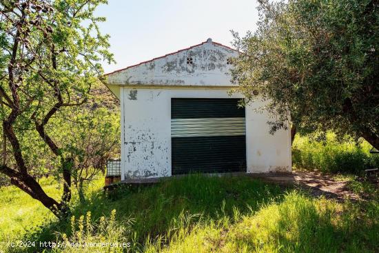 FINCA RÚSTICA EN FUENTE LOBO, CARRETERA DE LA SIERRA - GRANADA