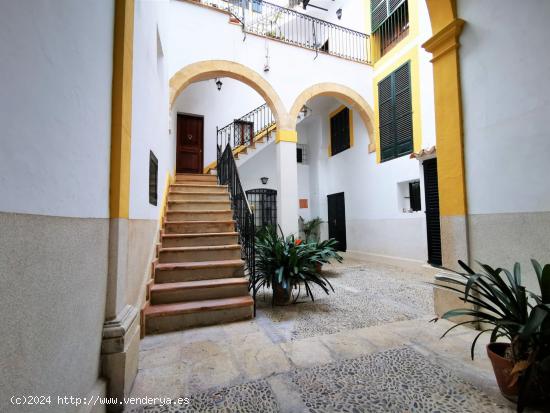 Piso en alquiler en el Histórico Centro de Palma - BALEARES