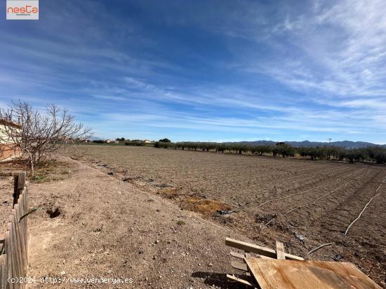 TERRENO CON 2 CASAS Y ALMACÉN EN TERCIA - MURCIA