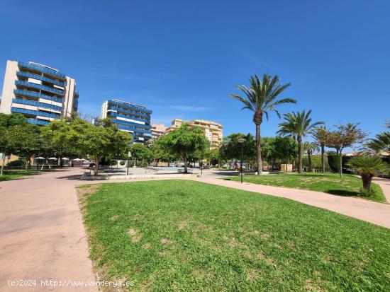 PISO EN VENTA EN CAMPELLO - URB LOS ABEDULES - ALICANTE