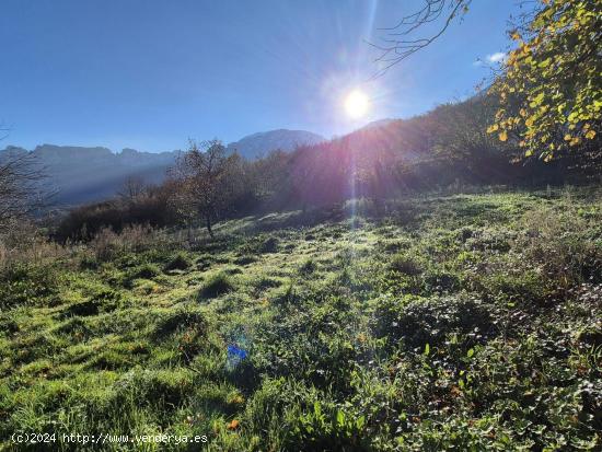  TERRENO URBANO DE 3632 M2 EN VALLE DE MENA - BURGOS 