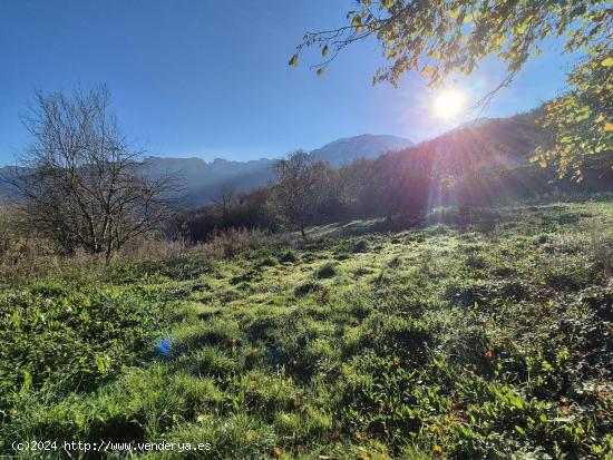 TERRENO URBANO DE 3632 M2 EN VALLE DE MENA - BURGOS