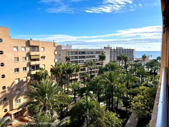 Apartamento en Urbanización El Palmeral, Torrevieja - ALICANTE