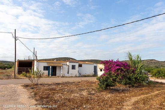 Almacen agricola de 1904 m2 y terreno de 3917 m2. A tan solo 2 km del centro! - TARRAGONA