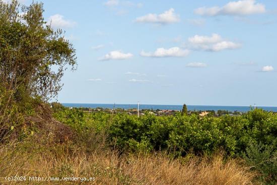  Finca rustica de regadio a tan solo 3 km de la poblacion. - TARRAGONA 