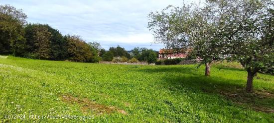 TERRENO EDIFICABLE EN AMBAS - ASTURIAS