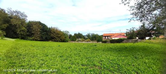 TERRENO EDIFICABLE EN AMBAS - ASTURIAS