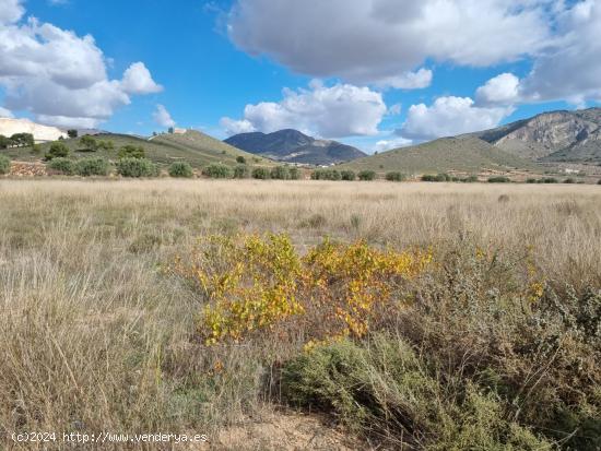 SE VENDE PARCELA EN CAÑADA DE LA LEÑA (ALGUEÑA) ALICANTE - MURCIA