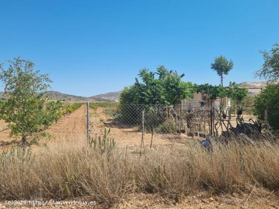 SE VENDE CASA CON TERREN EN CAÑADA DE LA LEÑA (ALGUEÑA) ALICANTE - MURCIA