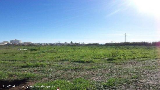 Se Vende en Jerez de la Frontera - CADIZ