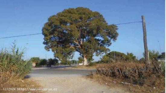 Se Vende en Jerez de la Frontera - CADIZ