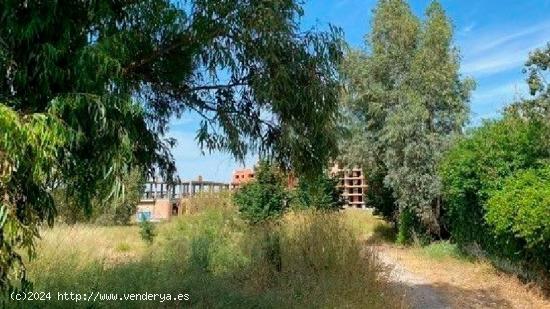 Se Vende en Jerez de la Frontera - CADIZ