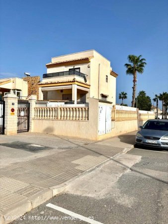  Chalet en alquiler en Guardamar del Segura (Alicante) 