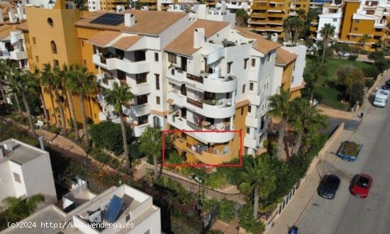  Apartamento en venta en Torrevieja (Alicante) 