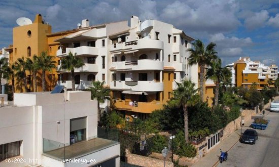 Apartamento en venta en Torrevieja (Alicante)