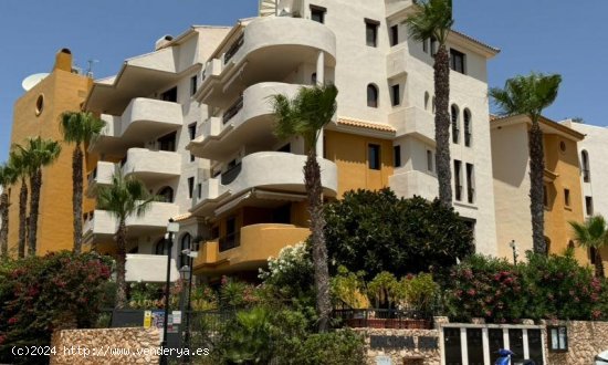 Apartamento en venta en Torrevieja (Alicante)