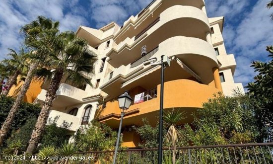 Apartamento en venta en Torrevieja (Alicante)