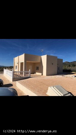 Villa en venta en Pinoso (Alicante)