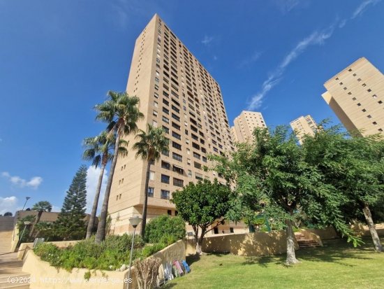  Apartamento en venta en Benidorm (Alicante) 