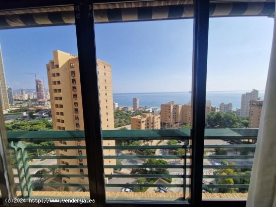 Apartamento en venta en Benidorm (Alicante)