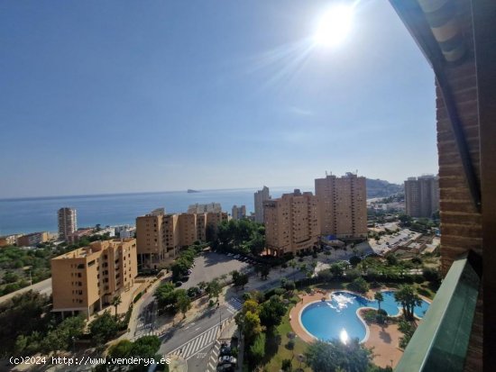 Apartamento en venta en Benidorm (Alicante)