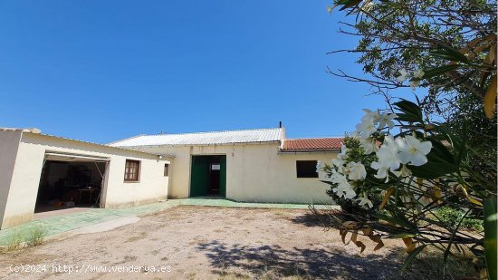 Casa en venta en Pinoso (Alicante)