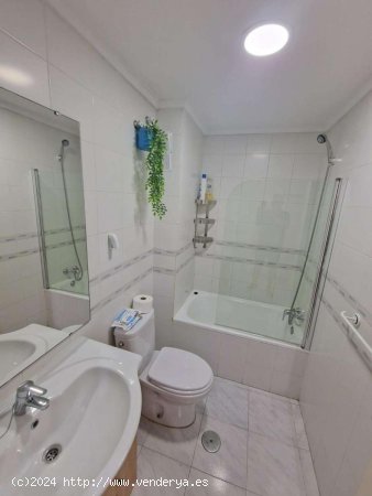 Estudio en venta en Torrevieja (Alicante)