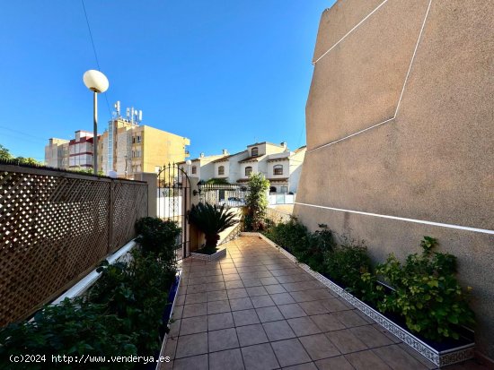 Casa en alquiler en Torrevieja (Alicante)