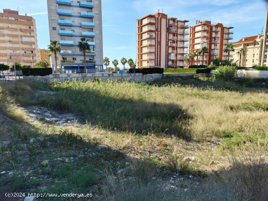 Parcela en venta en Guardamar del Segura (Alicante)