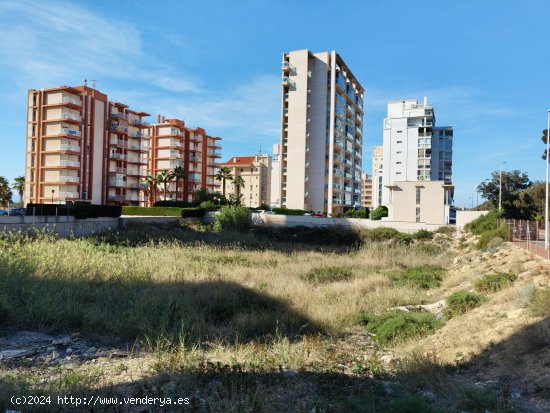 Parcela en venta en Guardamar del Segura (Alicante)